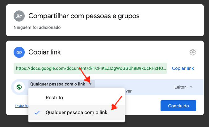 Tela Inserir Documento Externo (Google Docs)